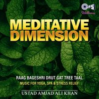 Ustad Amjad Ali Khan - Meditative Dimensions
