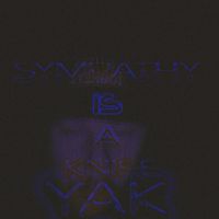 YAK - Sympathy is a knife (Explicit)