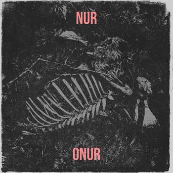 ONUR - NUR