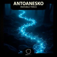 antoanesko - Invisible Trace