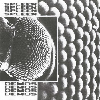 Spleen - Demos