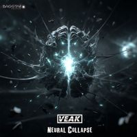Veak - Neural Collapse