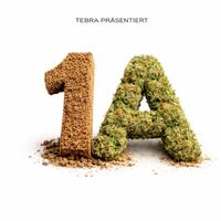 Tebra - 1A (Explicit)