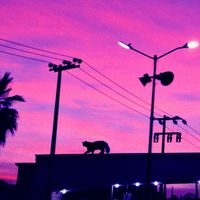 Neon Blood - The Cat