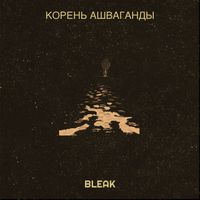 Bleak - Корень ашваганды (Explicit)
