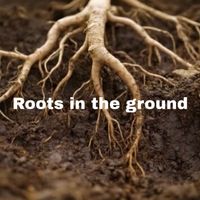 Marcell - Roots in the Ground
