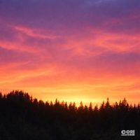 Matteo Corlin - Our Summer