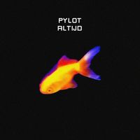 PYLOT - Altijd