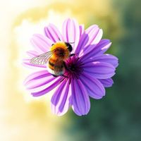 Aura - Change Without Asking