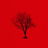 Rouge - L’ultima foglia dell’albero (Lui)