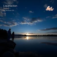 Liquefaction - Need