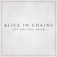 Alice In Chains - The One You Know