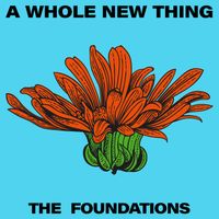 The Foundations - A Whole New Thing