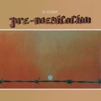 The Melodians - Pre-Meditation