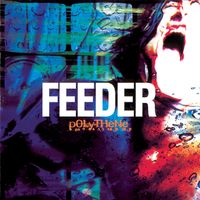 Feeder - Polythene