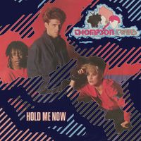 Thompson Twins - Hold Me Now