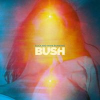 Bush - BLACK AND WHITE RAINBOWS (Remastered)
