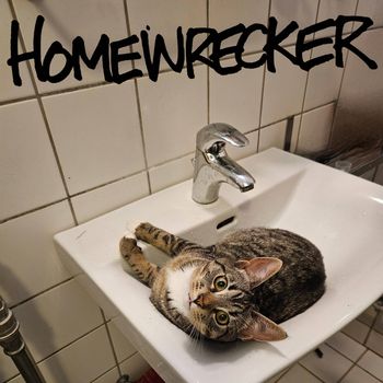 molly - Homewrecker