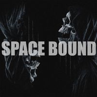 NO SIGNAL - SPACE BOUND
