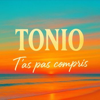 Tonio - T'as pas compris (Explicit)