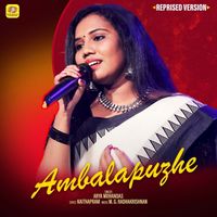 Arya Mohandas - Ambalapuzhe (Reprised Version)