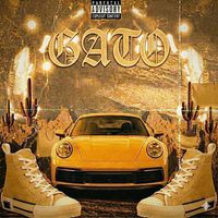 Gato - DIOR (Explicit)