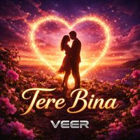 Veer - Tere Bina
