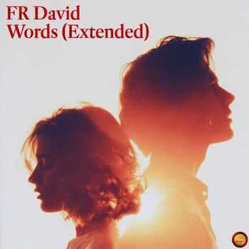 F.R. David - Words (Extended)