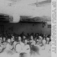 Toska - IF YOU WANT IT