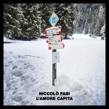 Niccolò Fabi - L’amore capita