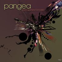 Pangea - Porcupines For Sale
