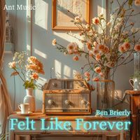 Ben Brierly - Felt Like Forever