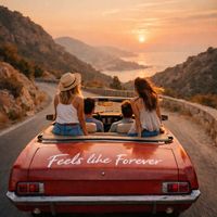 Blackbird - Feels Like Forever