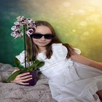 Belly - Night Orchidee