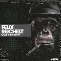 Felix Reichelt - Cage Is Burning