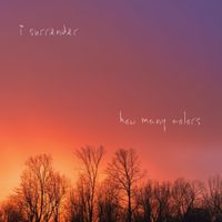 How Many Colors - I Surrender