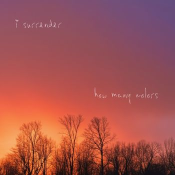 How Many Colors - I Surrender