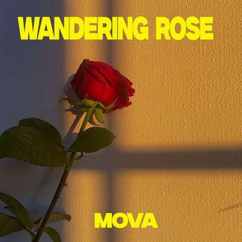 Mova - Wandering Rose