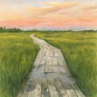 Maneli Jamal - Meadowlight