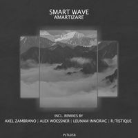 Smart Wave - Amartizare