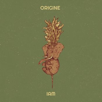 IAM - Origine 