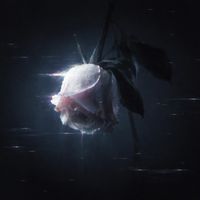 Inu - ICH BRAUCH DICH HIER (Explicit)