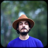 Felino - Pareidolias