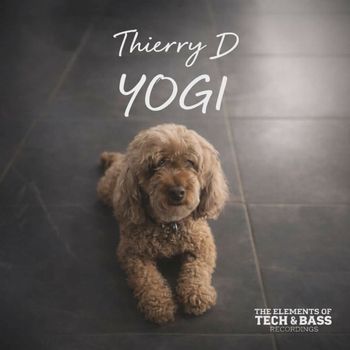Thierry D - YOGI