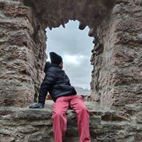 temi - Window