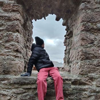temi - Window