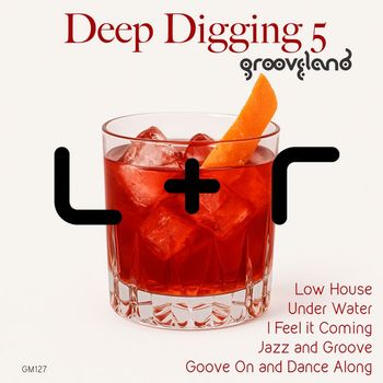 Luchi & Raizer - Digging 5