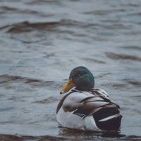 Mr. Bi - Just Calm and Relax