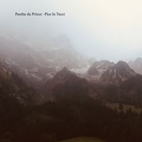Pantha du Prince - Pius in Tacet