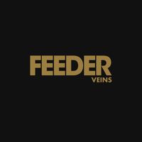 Feeder - Veins